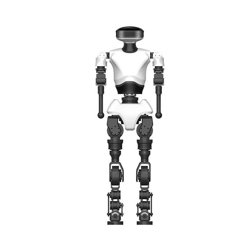 HRbot Type E Educational robot